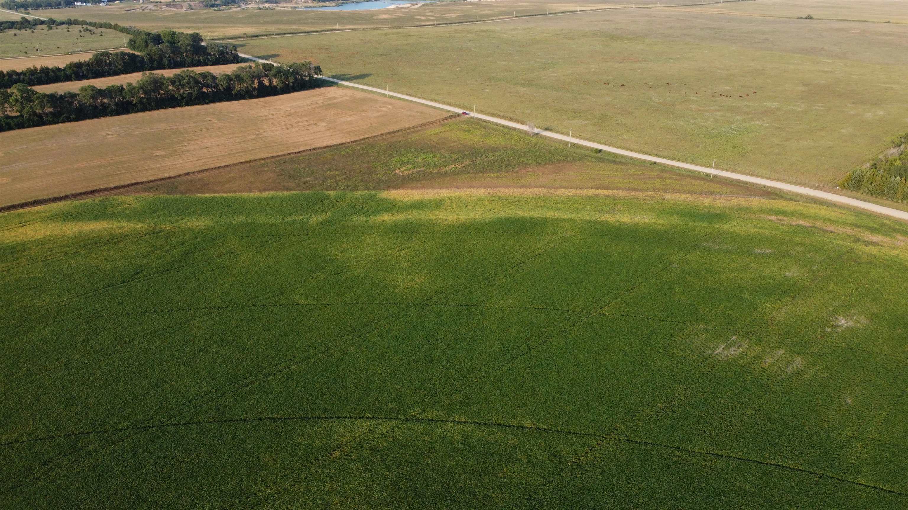 Pierce, Nebraska 68767, United States, ,Land,Active,209130