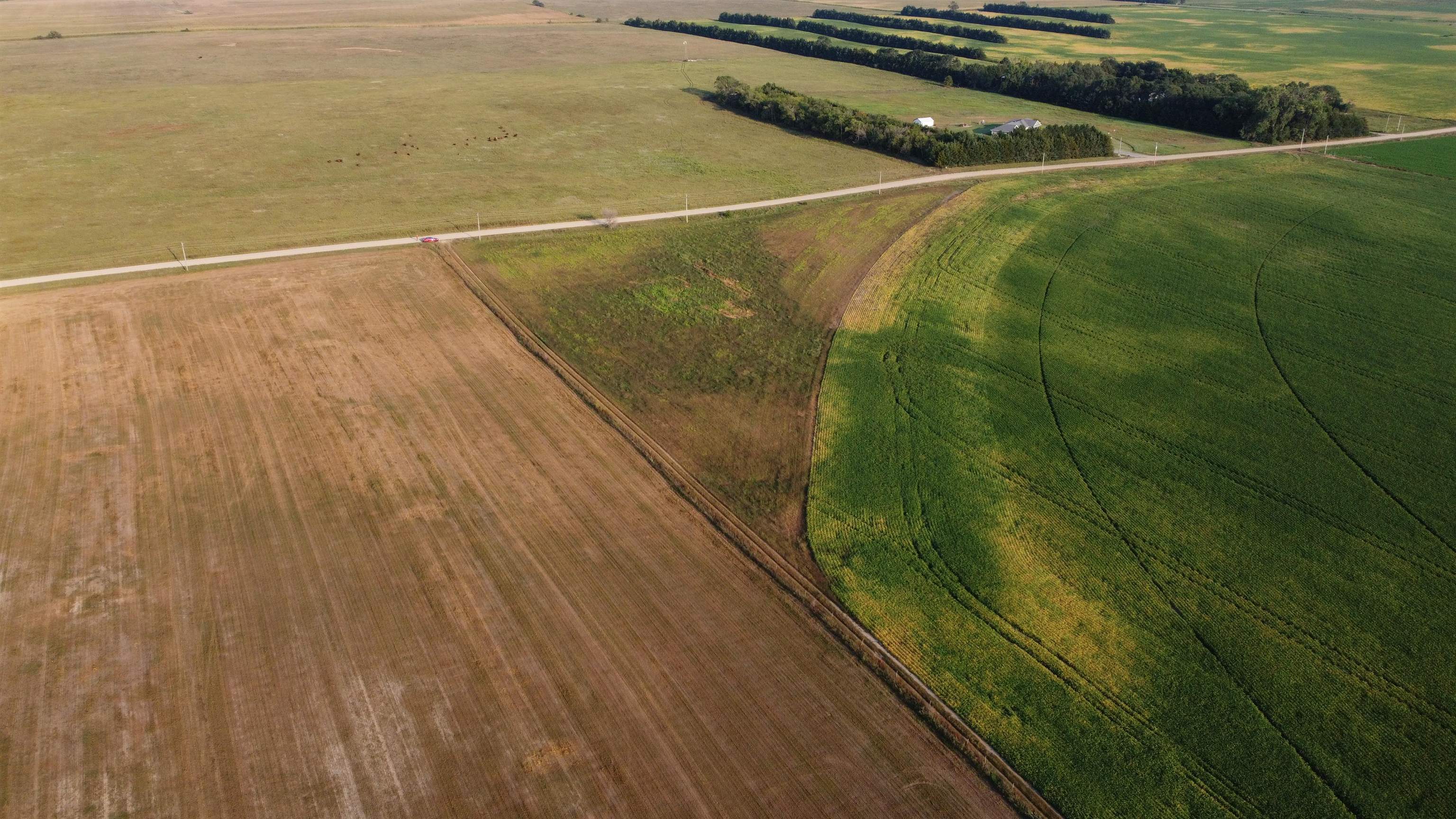 Pierce, Nebraska 68767, United States, ,Land,Active,209130