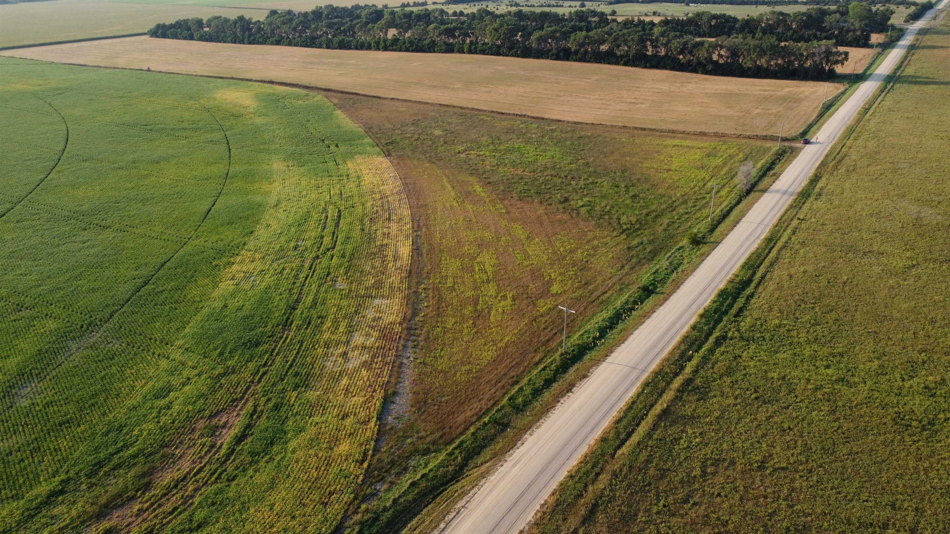 Pierce, Nebraska 68767, United States, ,Land,Active,209130