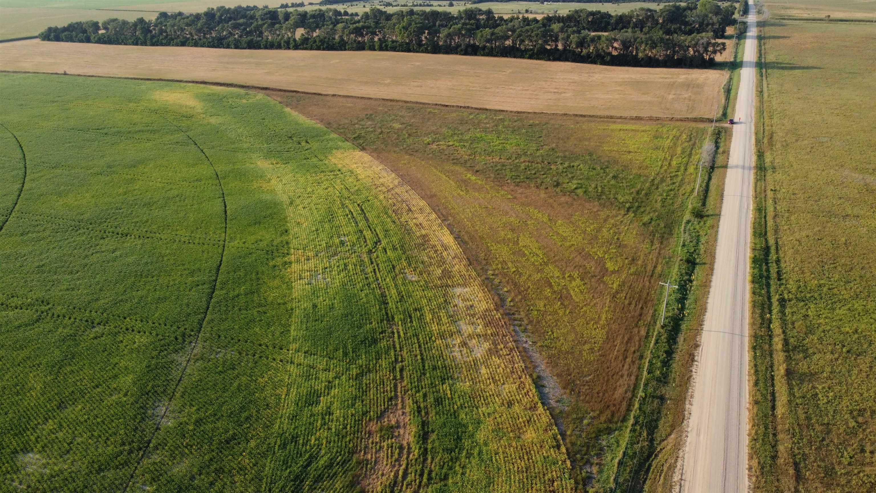 Pierce, Nebraska 68767, United States, ,Land,Active,209130