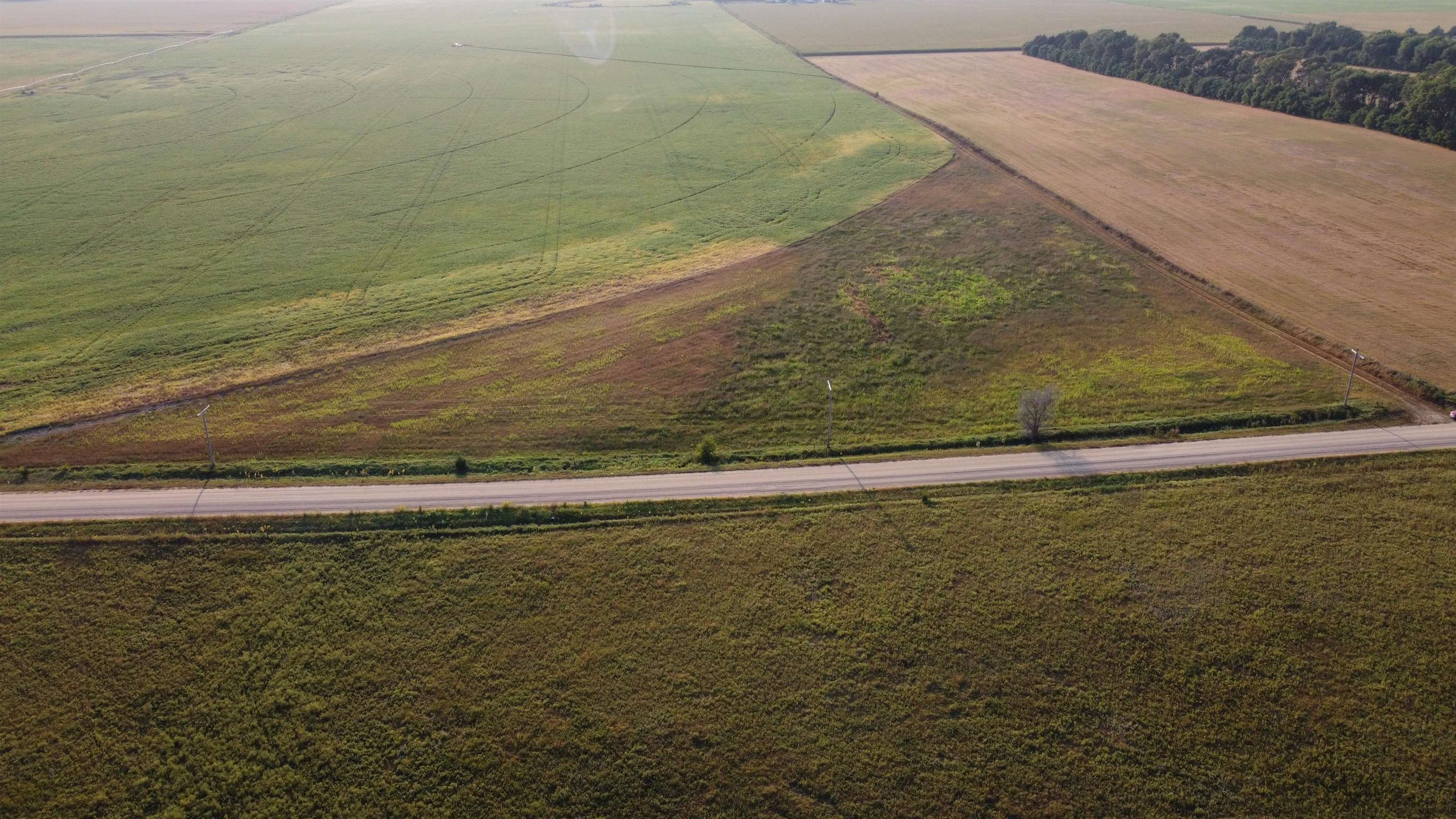 Pierce, Nebraska 68767, United States, ,Land,Active,209130