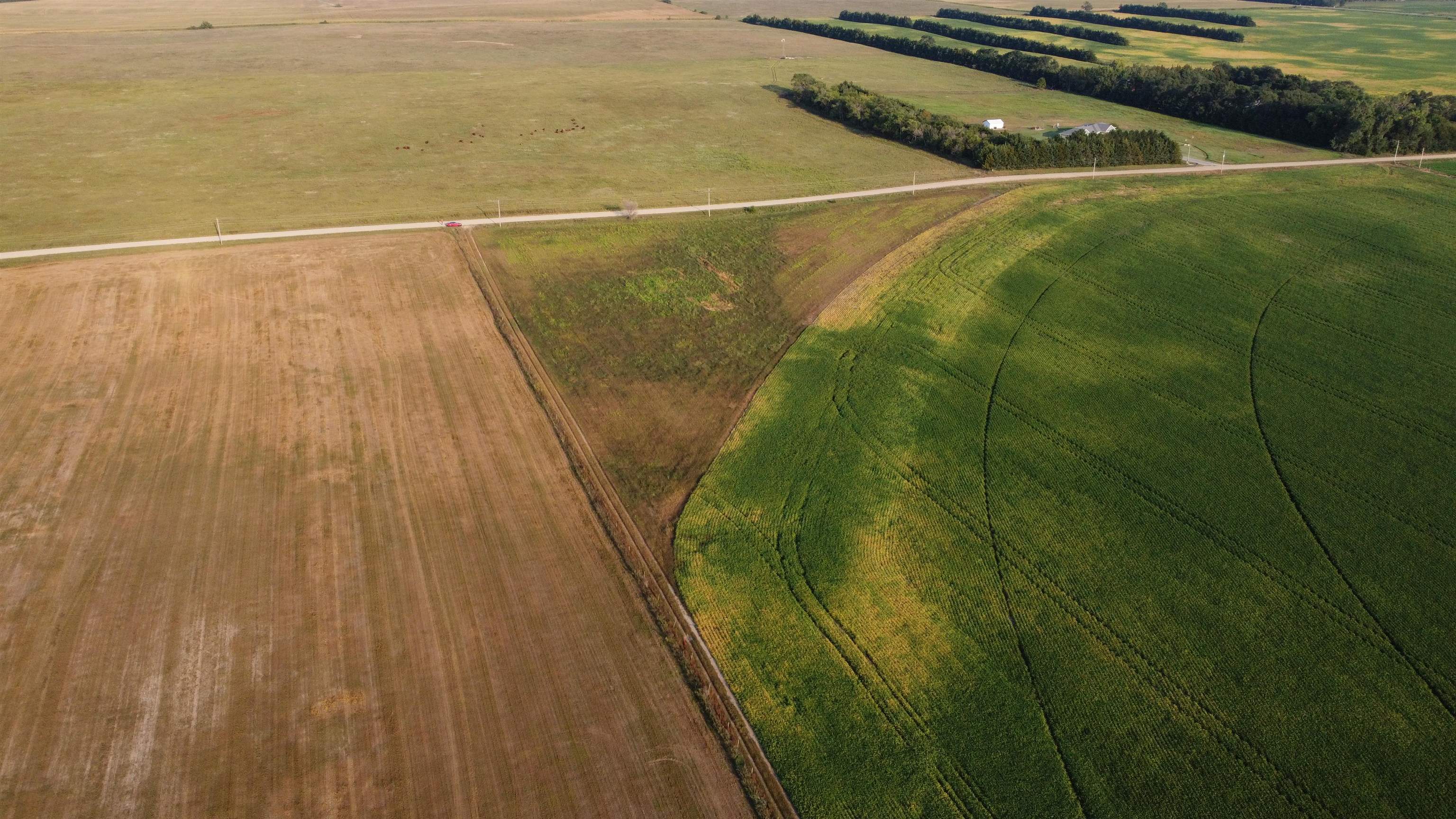 Pierce, Nebraska 68767, United States, ,Land,Active,209130
