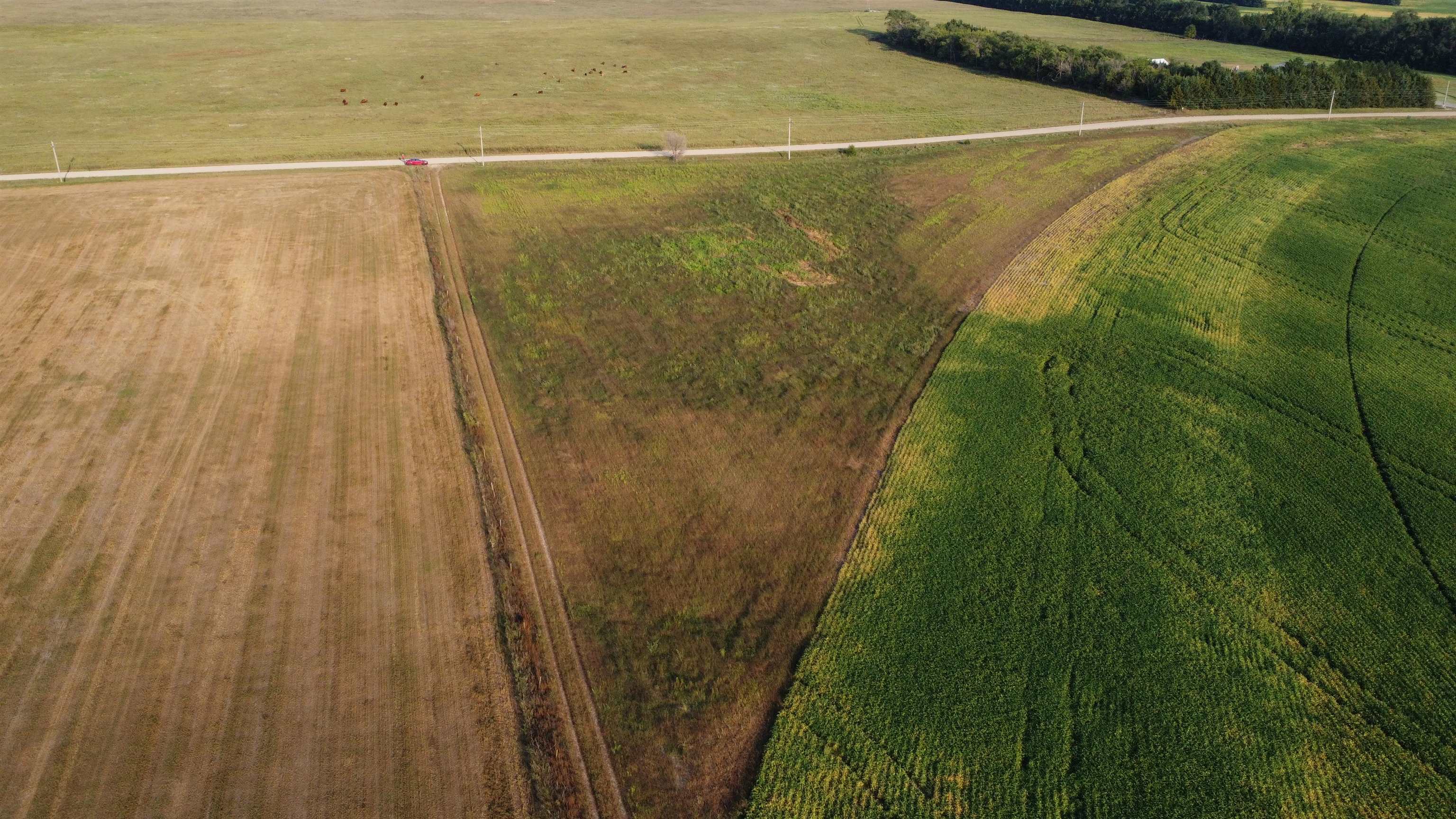 Pierce, Nebraska 68767, United States, ,Land,Active,209130