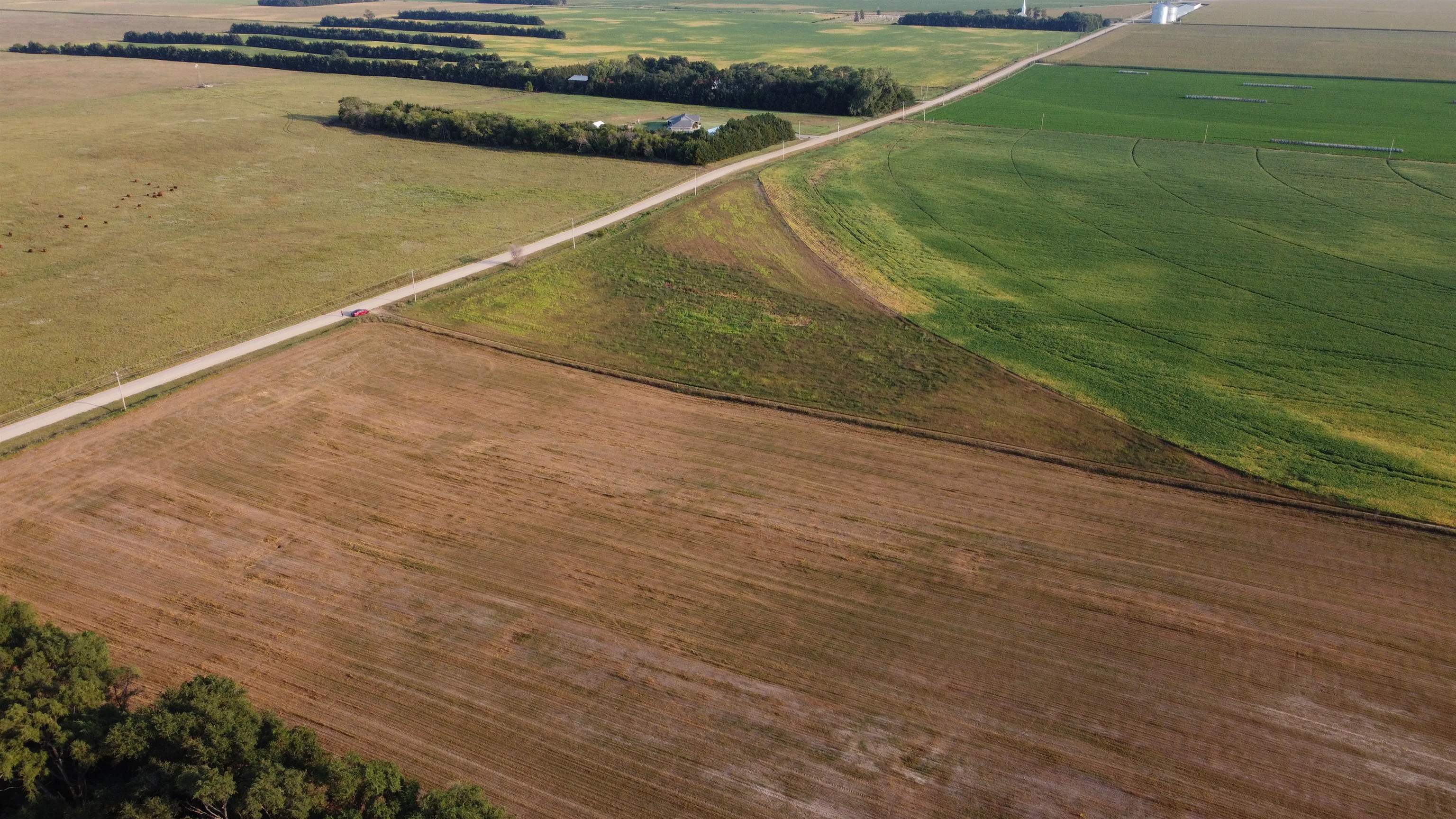 Pierce, Nebraska 68767, United States, ,Land,Active,209130