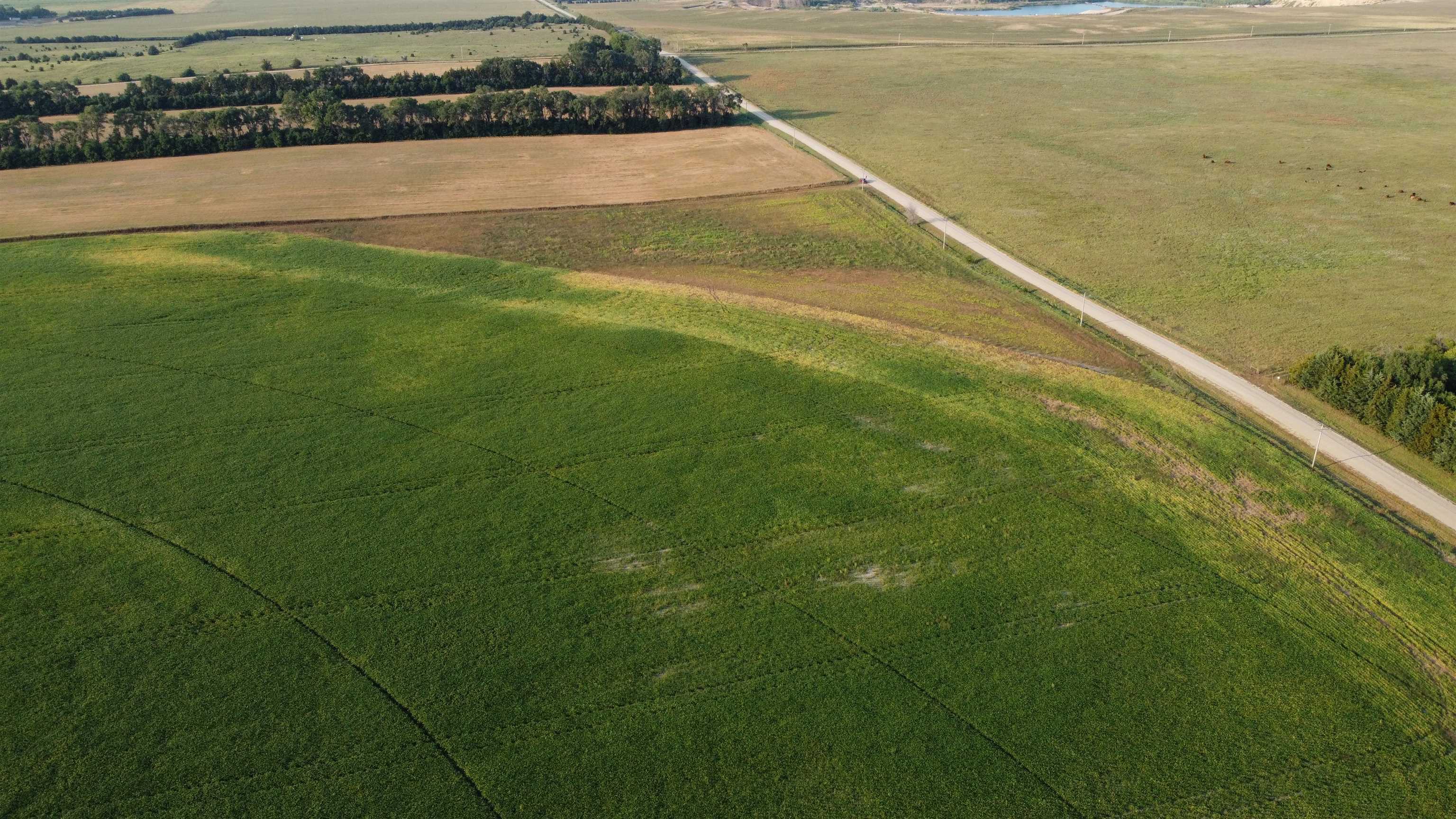 Pierce, Nebraska 68767, United States, ,Land,Active,209130