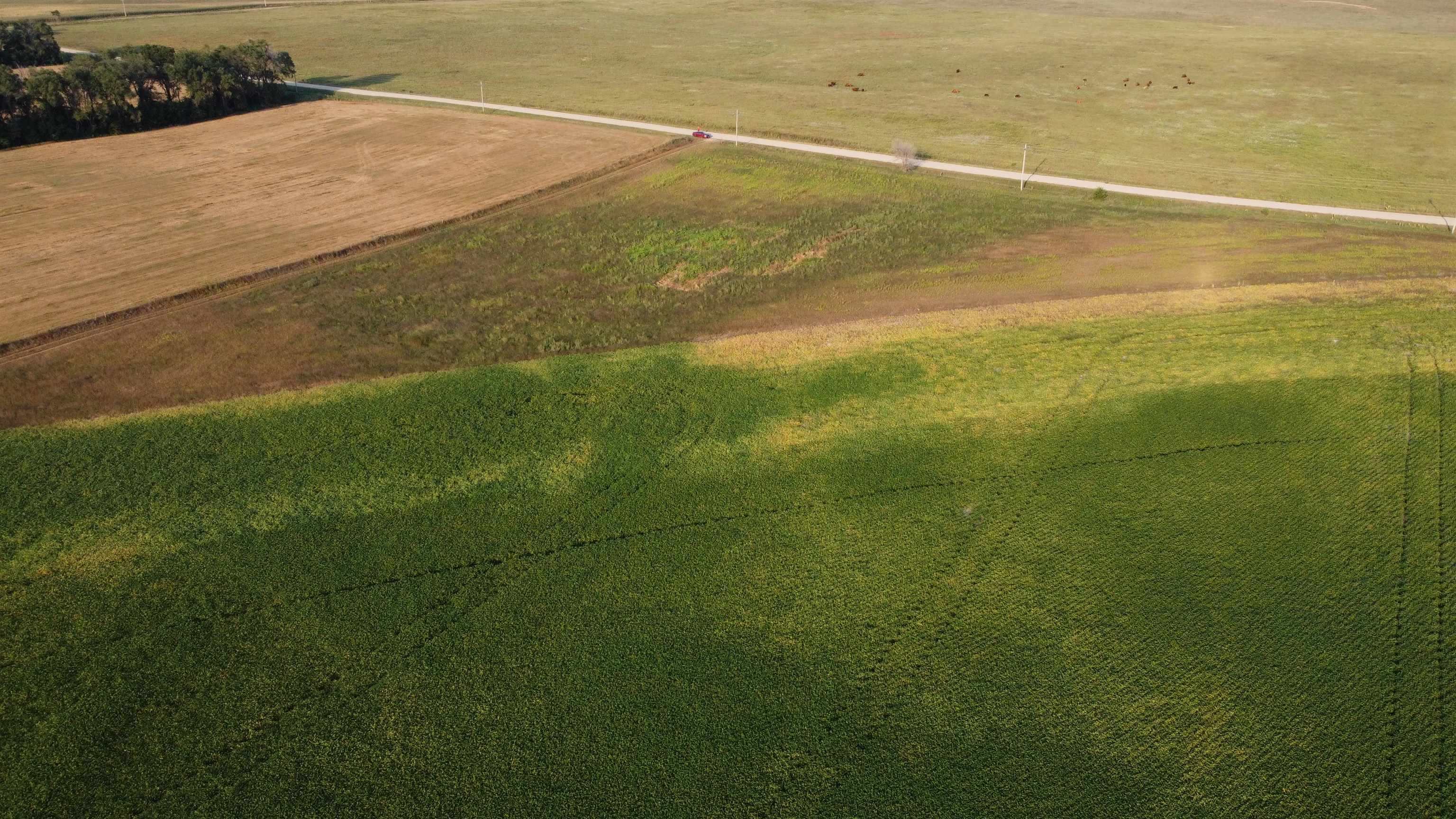 Pierce, Nebraska 68767, United States, ,Land,Active,209130