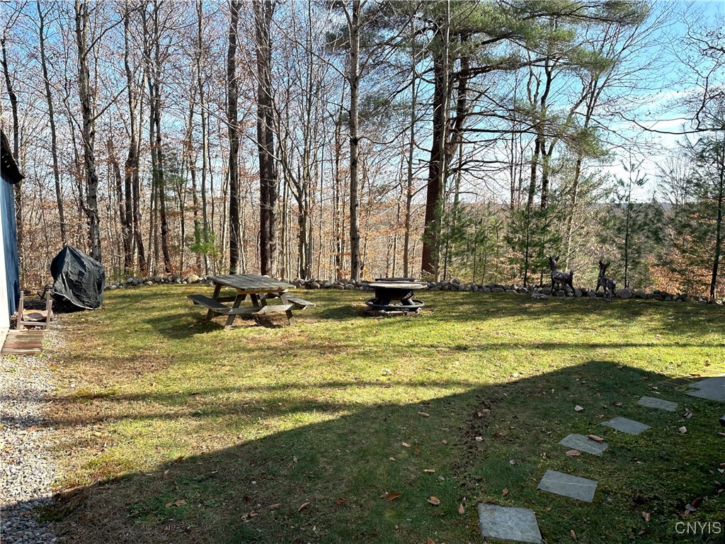 116 Aldrich Rd/prvt Rd, Oswegatchie, New York image 44