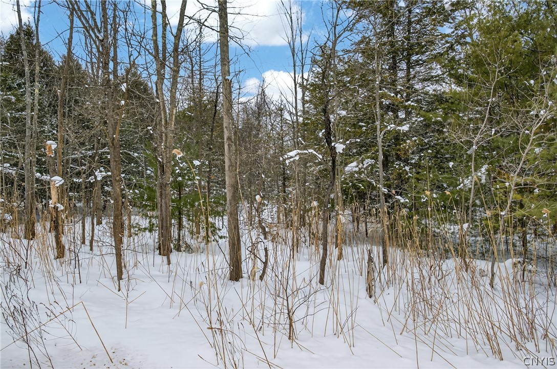193 County Route 11