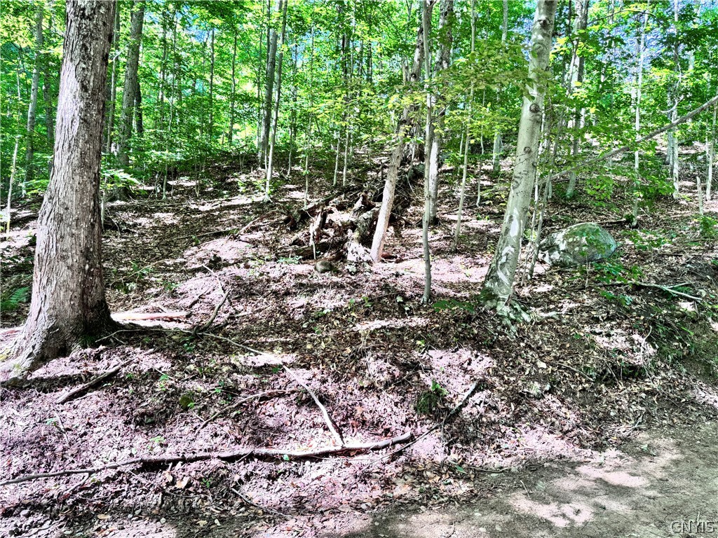 Oneida Road