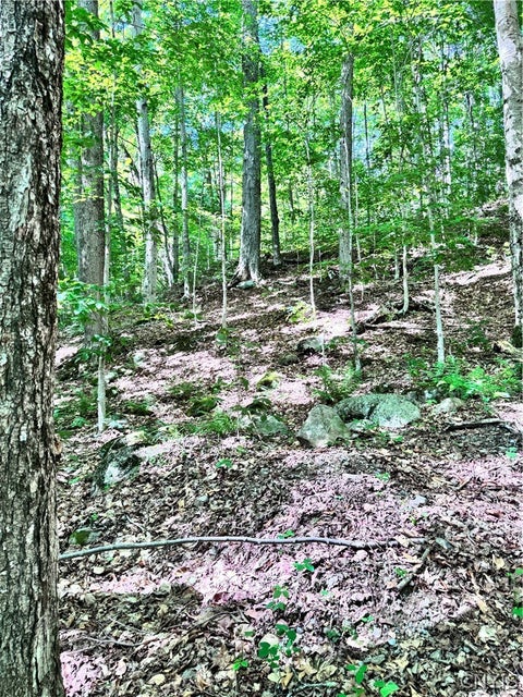 Photo of Oneida Road, Webb, NY 13420 (MLS # S1699676)