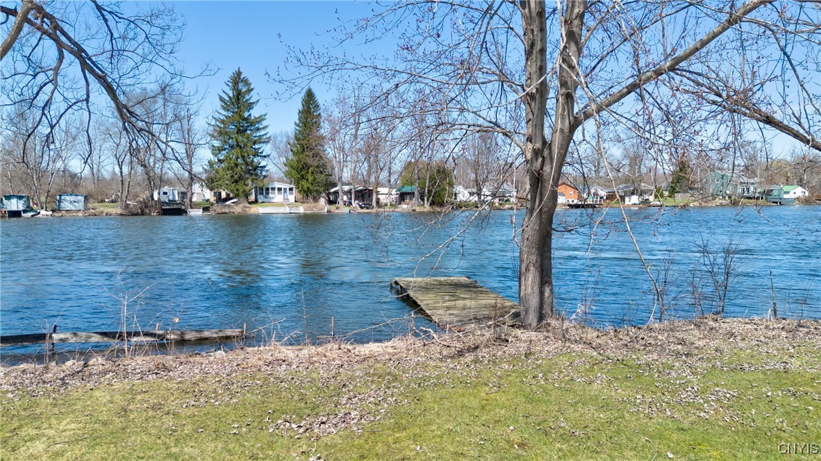 4407 Riviera Drive, Clay, New York image 44