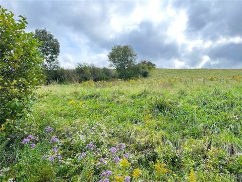 Photo of Buck Road, Fly Creek, NY 13337 (MLS # S1609272)