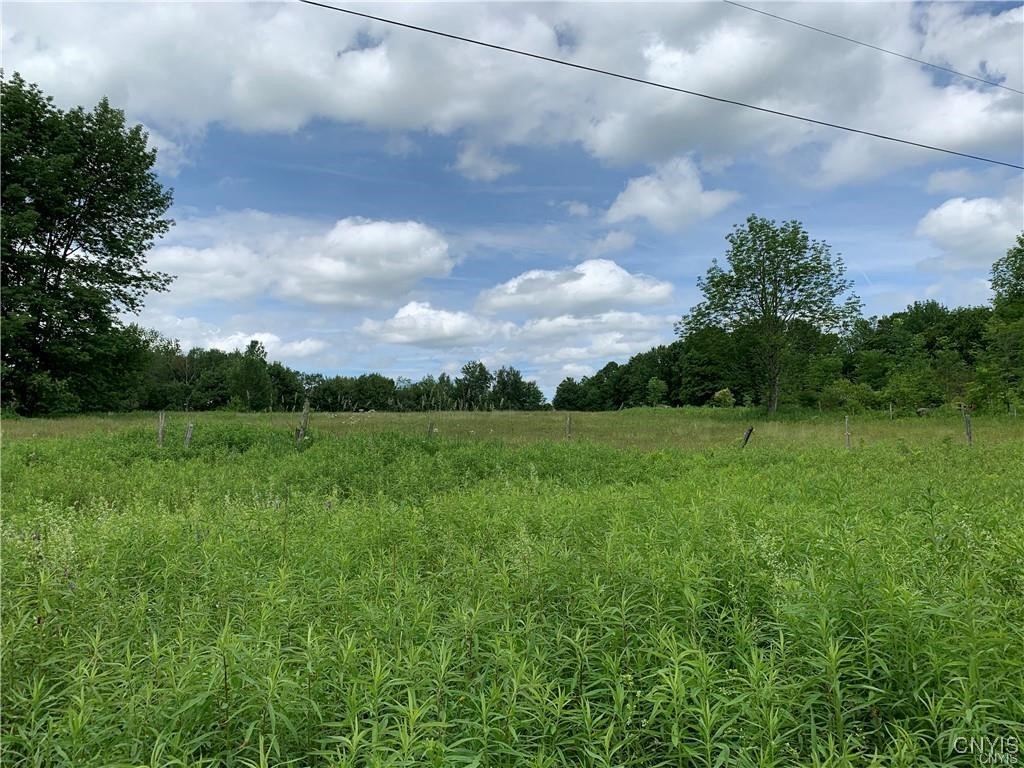 Hadcock Road, Stratford, New York image 9