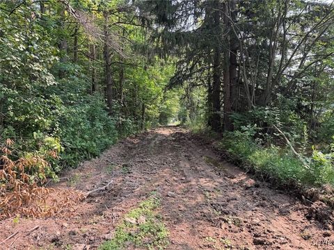 Vacant Land For Sale - Allen Road<br/> Sardinia, NY 14055