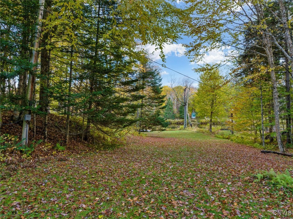 1118 Moose River Tract, Forestport, New York image 6
