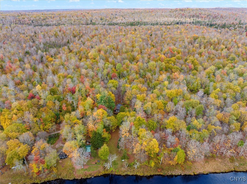 1118 Moose River Tract, Forestport, New York image 11