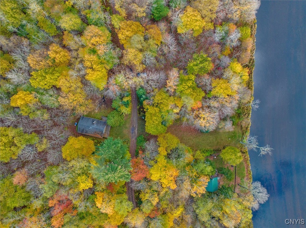 1118 Moose River Tract, Forestport, New York image 9