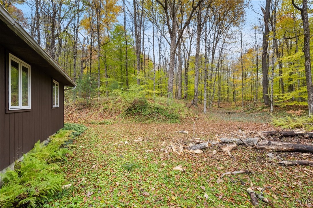 1118 Moose River Tract, Forestport, New York image 41