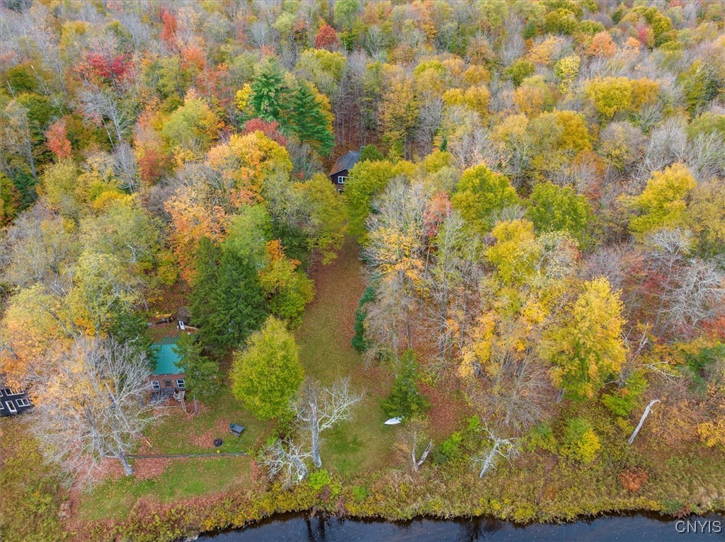 1118 Moose River Tract, Forestport, New York image 14