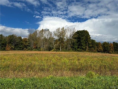Featured picture for the property S1504332