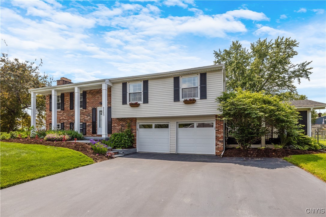 8265 Carnation Drive