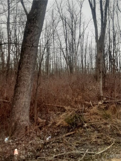 00 Bernhards Bay Avenue Canastota NY 13032