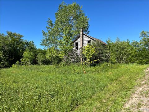 Vacant Land For Sale - 33 Barber Road<br/> Redfield, NY 13437