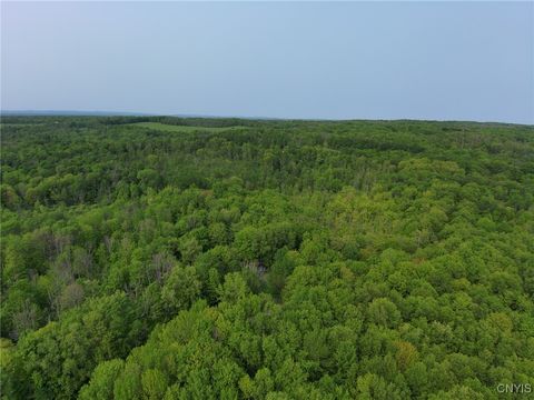 0000 Lynch Road Newport NY 13416