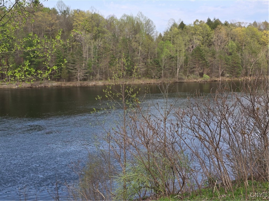 187 Millard Bassett Road