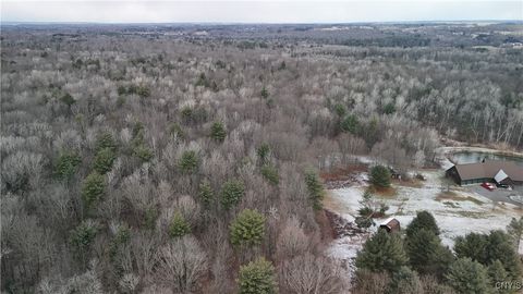 0 Lot C W Dryden Road Freeville NY 13068