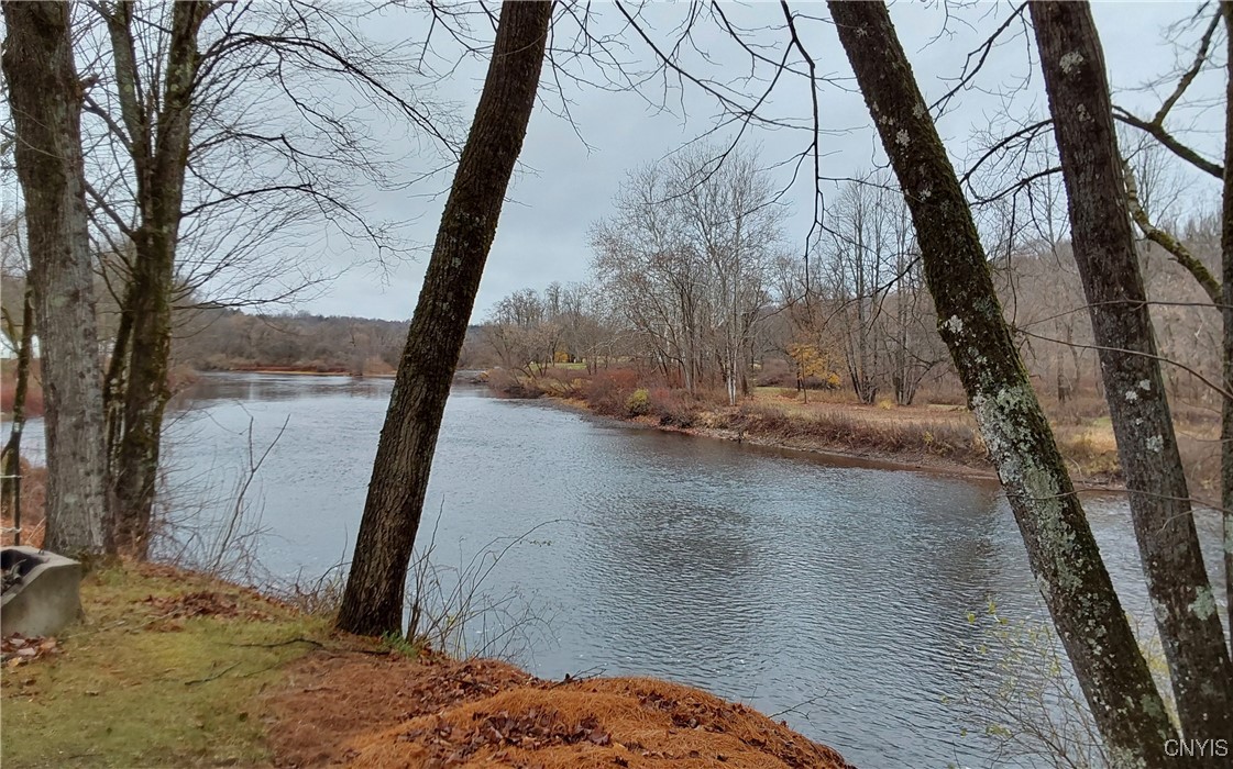 24 Christmas Tree Lane