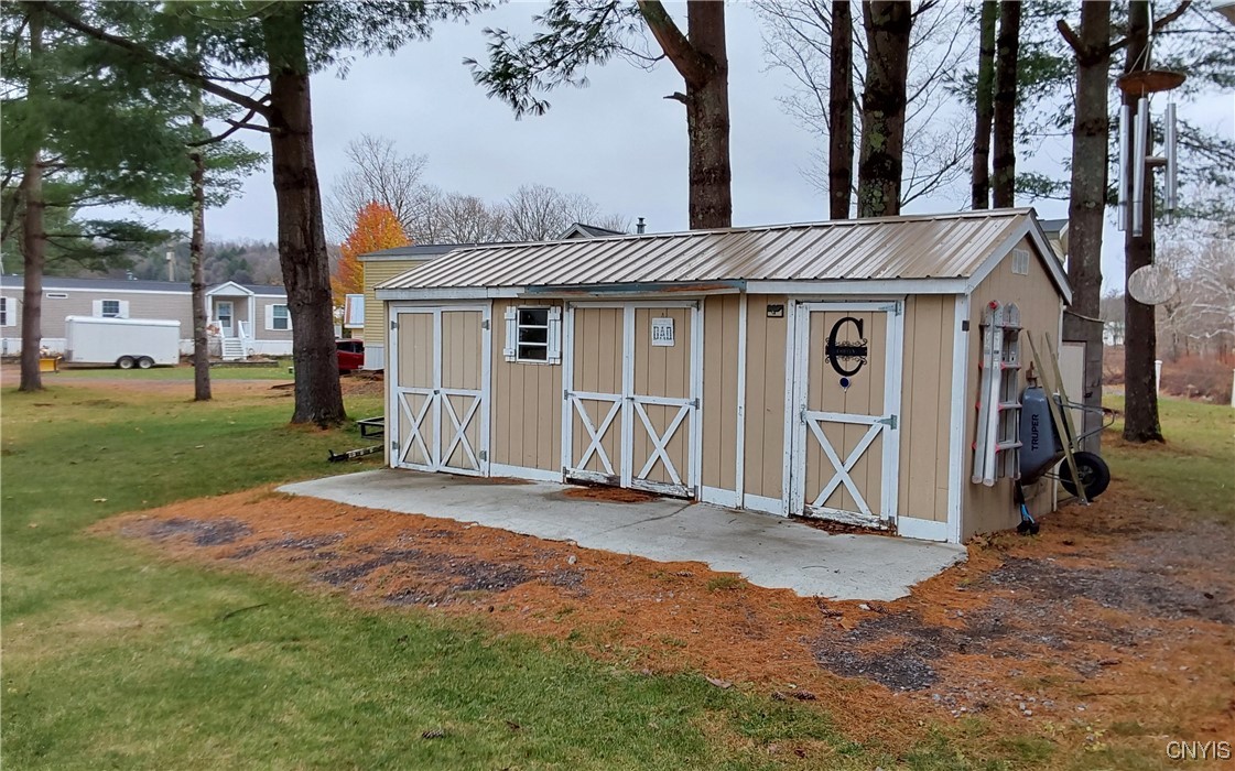 24 Christmas Tree Lane