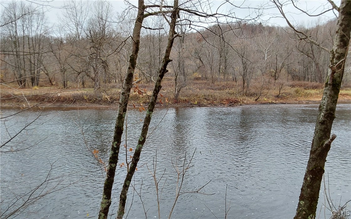 24 Christmas Tree Lane