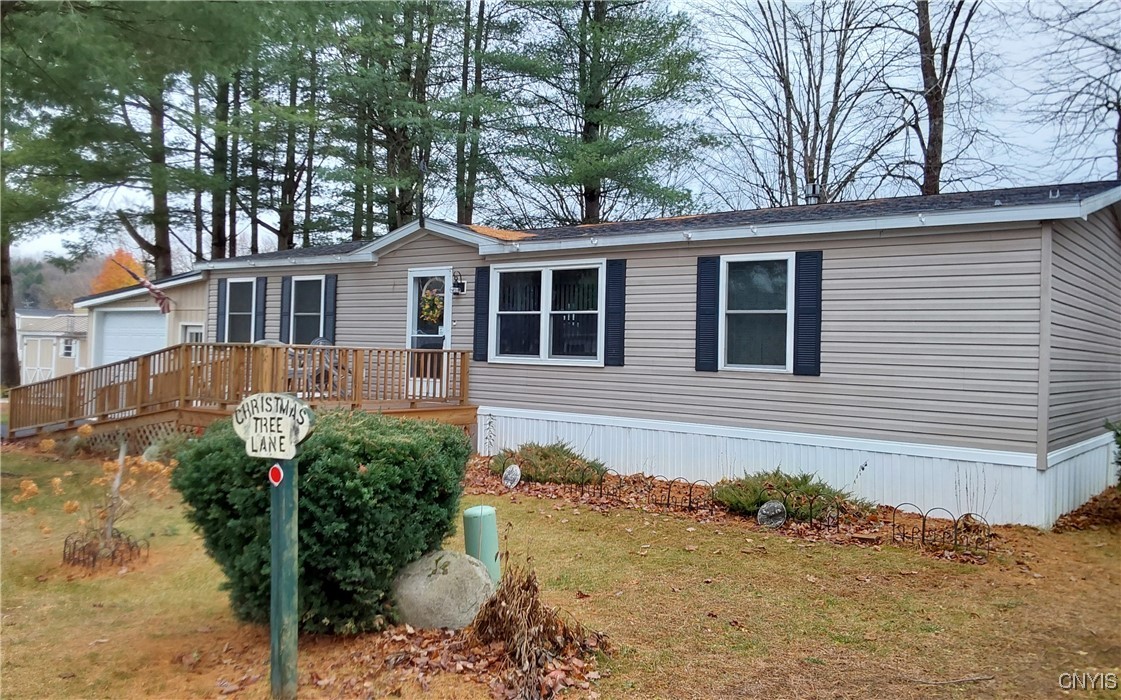 24 Christmas Tree Lane