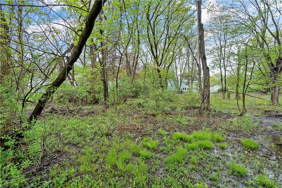 210 Hunt Drive, Manlius, New York image 37