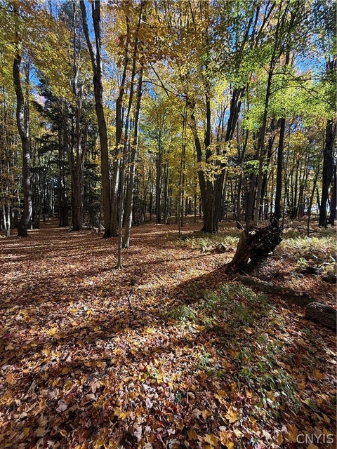 Tiny photo for 700 County Route 22a, Sandy Creek, NY 13145 (MLS # S1724222)