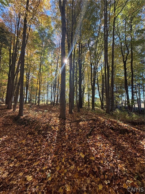 Tiny photo for 700 County Route 22a, Sandy Creek, NY 13145 (MLS # S1724222)