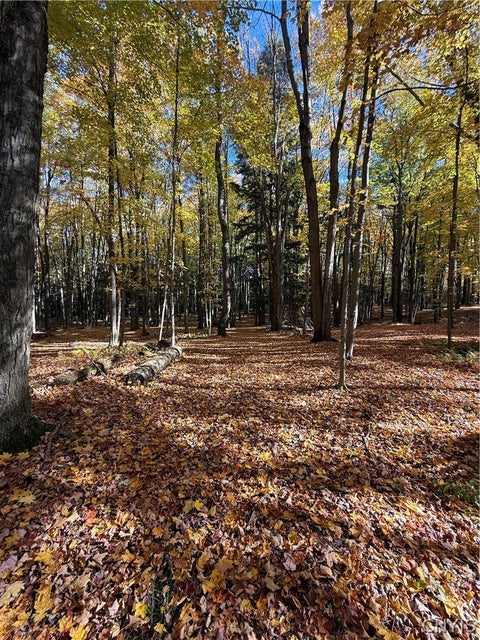 Tiny photo for 700 County Route 22a, Sandy Creek, NY 13145 (MLS # S1724222)