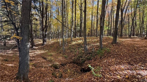 Tiny photo for 700 County Route 22a, Sandy Creek, NY 13145 (MLS # S1724222)
