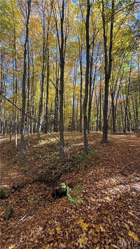 Tiny photo for 700 County Route 22a, Sandy Creek, NY 13145 (MLS # S1724222)
