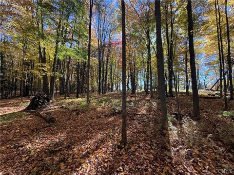 Tiny photo for 700 County Route 22a, Sandy Creek, NY 13145 (MLS # S1724222)