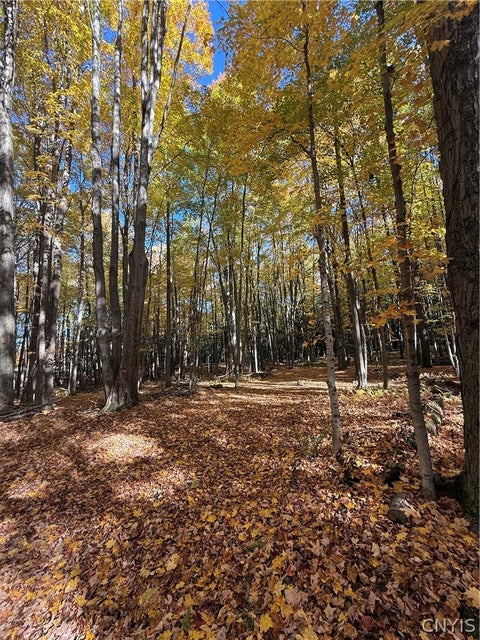 Tiny photo for 700 County Route 22a, Sandy Creek, NY 13145 (MLS # S1724222)