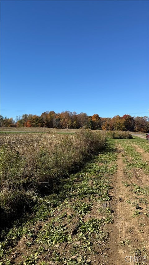 Tiny photo for 700 County Route 22a, Sandy Creek, NY 13145 (MLS # S1724222)