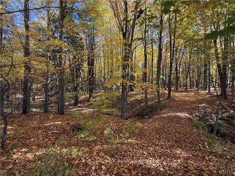 Tiny photo for 700 County Route 22a, Sandy Creek, NY 13145 (MLS # S1724222)
