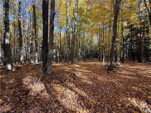 Tiny photo for 700 County Route 22a, Sandy Creek, NY 13145 (MLS # S1724222)