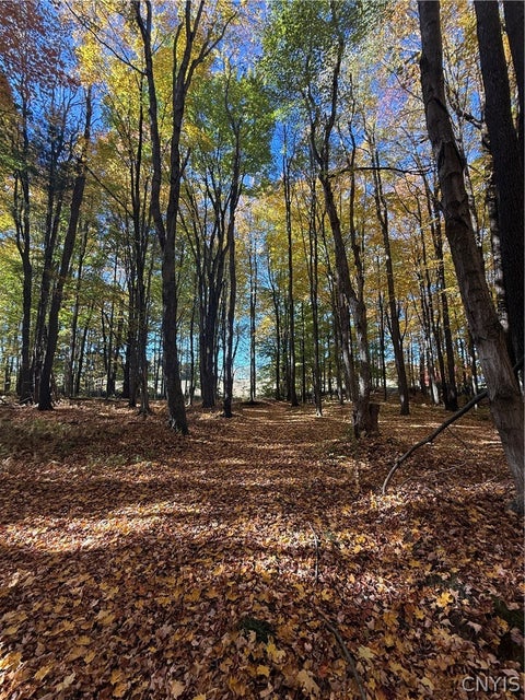 Tiny photo for 700 County Route 22a, Sandy Creek, NY 13145 (MLS # S1724222)