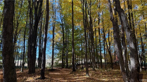 Tiny photo for 700 County Route 22a, Sandy Creek, NY 13145 (MLS # S1724222)