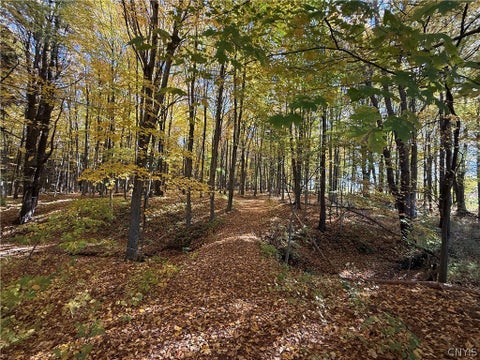 Photo of 700 County Route 22a, Sandy Creek, NY 13145 (MLS # S1724222)