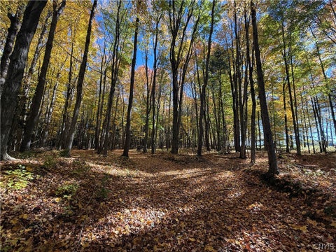 Tiny photo for 700 County Route 22a, Sandy Creek, NY 13145 (MLS # S1724222)