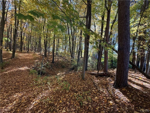 Tiny photo for 700 County Route 22a, Sandy Creek, NY 13145 (MLS # S1724222)